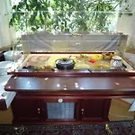 坦娜可酒店 酒店 巴登-巴登